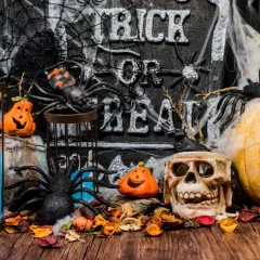Décoration effrayante pour une **thème soirée halloween** : citrouilles, araignées, crâne, toile d'araignée et bougie bleue sur fond de pierre gravée.