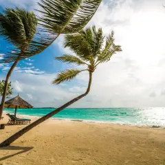 Plage de sable fin, cocotiers se balançant sous le vent, mer turquoise. L'endroit parfait pour un voyage de noce destination originale.