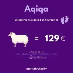 Aqiqa : célébrer la naissance d'un nouveau-né en Islam. Un mouton coûte 129€.