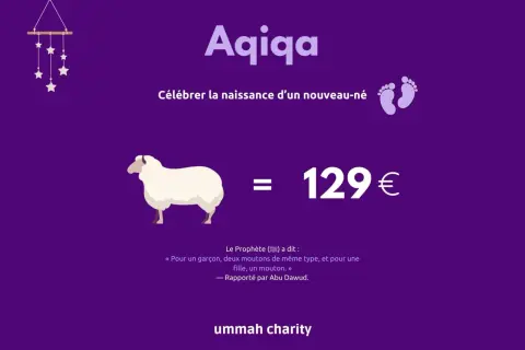 Aqiqa : célébrer la naissance d'un nouveau-né en Islam. Un mouton coûte 129€.