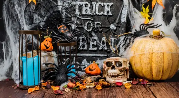 Décoration effrayante pour une **thème soirée halloween** : citrouilles, araignées, crâne, toile d'araignée et bougie bleue sur fond de pierre gravée.