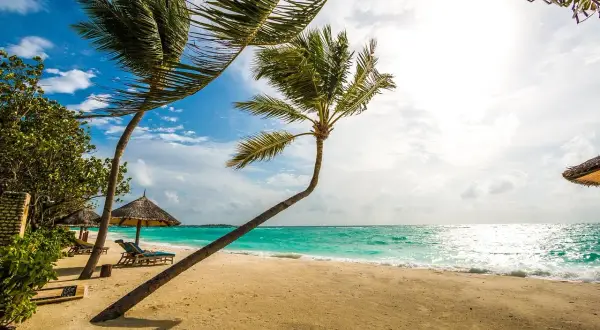 Plage de sable fin, cocotiers se balançant sous le vent, mer turquoise. L'endroit parfait pour un voyage de noce destination originale.