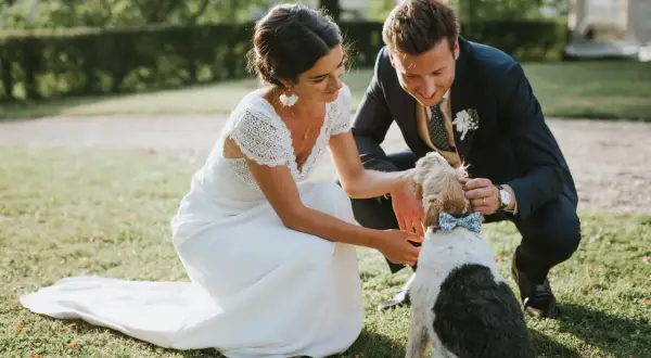 Un couple heureux lors d'un mariage campagne, caressant leur chien portant un nœud papillon bleu.