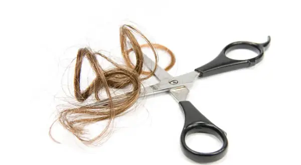 Ciseaux coupant une mèche de cheveux de bébé sur fond blanc.