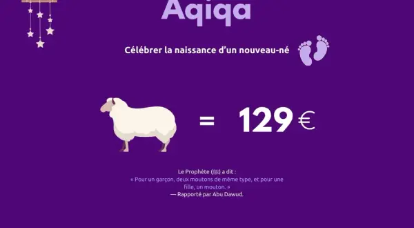 Aqiqa : célébrer la naissance d'un nouveau-né en Islam. Un mouton coûte 129€.