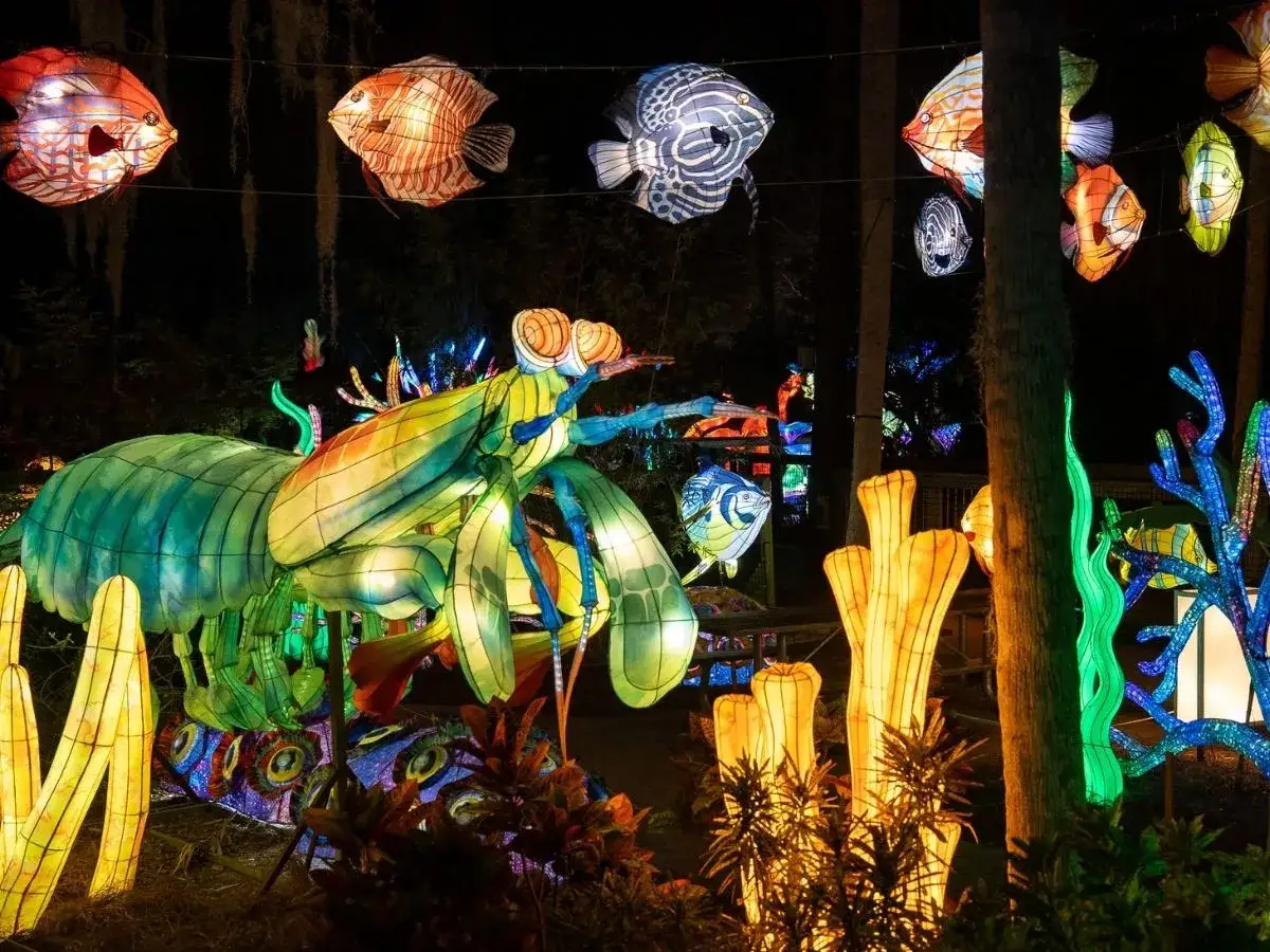 &Eacute;clairage f&eacute;erique d'un festival de lanterne Tha&iuml;lande : un immense insecte vert et color&eacute;, des poissons volants et des coraux lumineux dans la nuit.