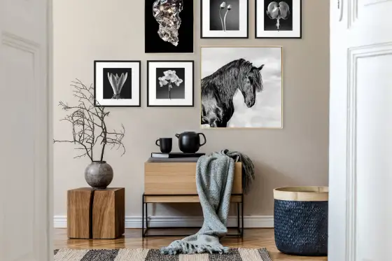Mur de photos pour une fête - idées DIY et conseils