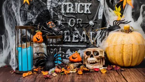 Décoration effrayante pour une **thème soirée halloween** : citrouilles, araignées, crâne, toile d'araignée et bougie bleue sur fond de pierre gravée.
