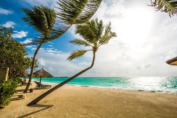 Plage de sable fin, cocotiers se balançant sous le vent, mer turquoise. L'endroit parfait pour un voyage de noce destination originale.
